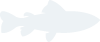 问鼎娱乐